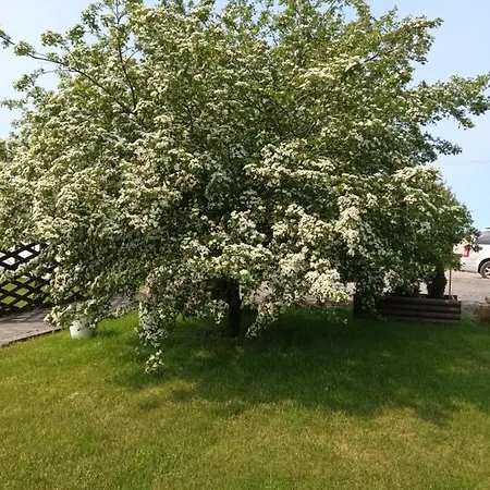 Kempings Vinkalni